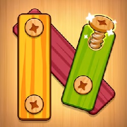 Woodnuts Bolts Puzzle